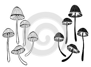 Set of mushrooms toadstools