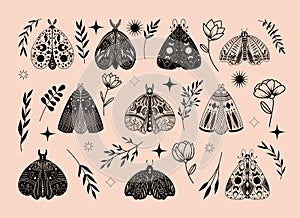 Set of mystical celestial moths, flowers and branches, vector floral and fauna illustration