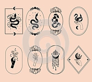 Set of mystical illustrations, witchy hands, floral moon, snakes and mystical flowers, witchcraft symbol