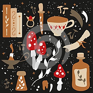 A set of mystical and magical elements. Vector illustration. Items for fortune telling and magic. Magic herbs, teeth, books,