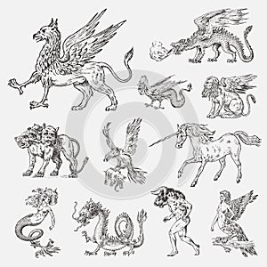 Set of Mythological animals. Mermaid Minotaur Unicorn Chinese dragon Cerberus Harpy Sphinx Griffin Mythical Basilisk Roc photo