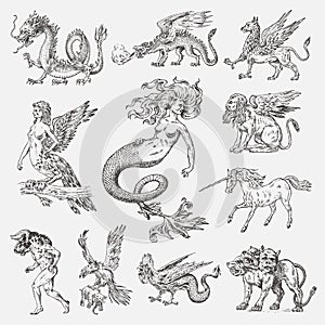Set of Mythological animals. Mermaid Minotaur Unicorn Chinese dragon Cerberus Harpy Sphinx Griffin Mythical Basilisk Roc