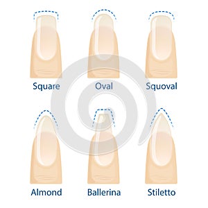 Set of nails shapes photo