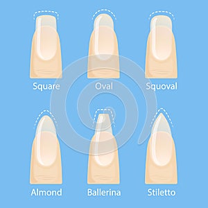 Set of nails shapes photo