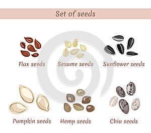 Set of named seeds . Chia, flax, sesame, sunflower, pumpkin and hemp.