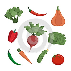 Set of natural farm products. Vegetables for vegetarians.