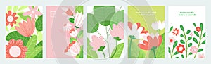 Set of natural and floral vector illustrations.