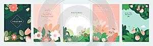 Set of natural and floral vector illustrations.