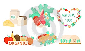 Set of natural, organic, eco foods from the village farm. Vector illustration in flat cartoon style.