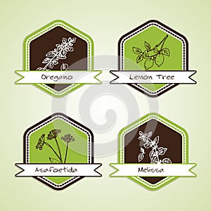 Set of Natural Organic Product badges