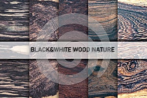 Set of natural real black white ebony wood planks with groove joints have a vertical background
