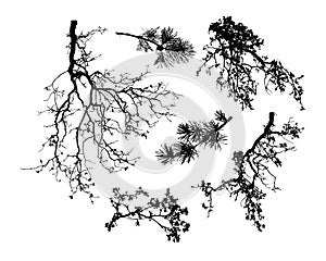 Set of natural tree branches silhouettesvector illustration