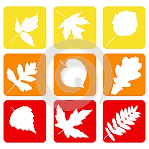 Set nature icons.