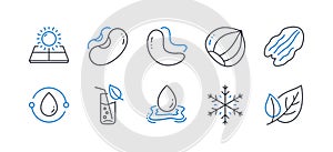 Set of Nature icons, such as Water glass, Hazelnut, Pecan nut. Vector