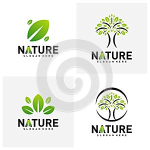 Set of Nature Leaf Green Logo Design Concepts. Environment Logo Template Vector. Icon Symbol