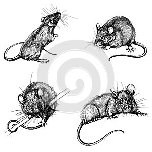 Set new year mouse, rat clip art graphics linner