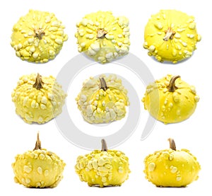 Set of nine yellow warty pumpkins angles isolated on white