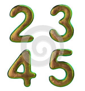 Set of numbers 2, 3, 4, 5 made of realistic 3d render gold color. Collection of natural snake skin texture style symbol