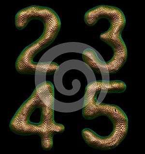 Set of numbers 2, 3, 4, 5 made of realistic 3d render gold color. Collection of natural snake skin texture style symbol