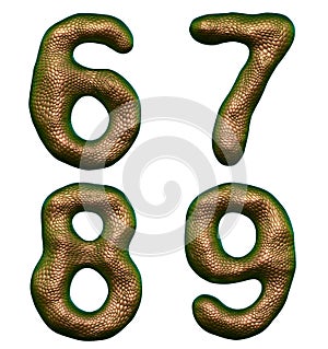 Set of numbers 6, 7, 8, 9 made of realistic 3d render gold color. Collection of natural snake skin texture style symbol