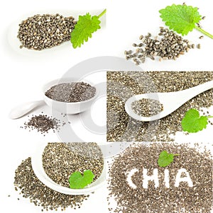 Set of nutritious chia seeds on a isolated white background