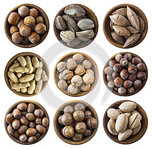 Set of nuts isolated on white background. Superfood with copy space for text. Brazil nut, peanuts, hazelnuts, macadamia, walnuts,