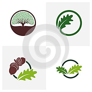 Set of Oak leaf logo design vector illustration, Creative oak tree logo design concept template, symbols icons