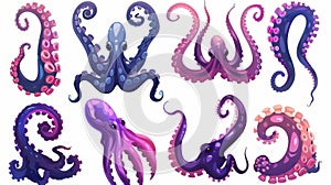 Set of octopus tentacles with suckers, squid tentacles and kraken arms, isolated on white. Modern illustration of