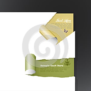 Set of old teared papers.