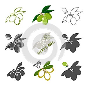 Set of olive oil labels,logos and elements.