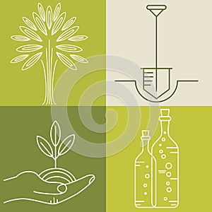 Set of olive oil logos