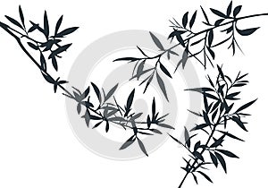 Set of Olive Tree Branches Shapes. Vector Silhouette of Bamboo Rainforest.