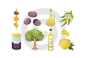 Set olives fruit. Olive oil bottle, tree branch vector illustration in cartoon style.