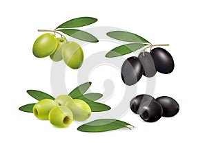 Set olives on white background