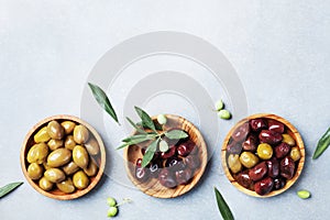 Set from olives in wooden bowls decorated with fresh olive tree branch top view.