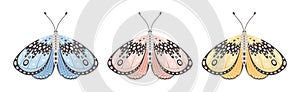 Set of one butterfly or moth shape in three colors, vector illustration