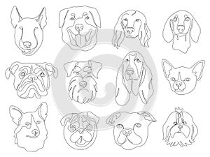 Set of one continuous line drawing dog breed portrait icons. Vector Images of schnauzer, dachshund, bulldog, beagle, pug