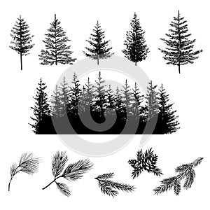 Set of onifer trees silhouettes on white