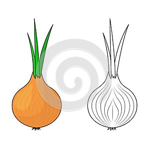 Set Onion. A whole onion with green feathers. Flat simple design. Isolated on a white background.