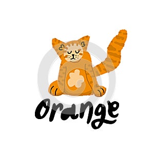Orange Cat illustration. Vector handdrawn elements