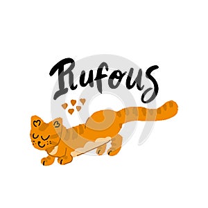 Orange Cat illustration. Vector handdrawn elements