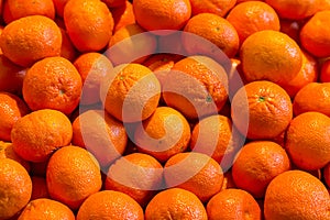 Set of orange citrus fruits tangerine one-piece fruit many fruits background bright pattern basis menu web design
