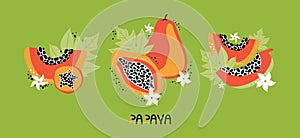 Set orange papaya with leaves and flowers. Collection hand drawn whole and sliced fruit of tropical fruit with flesh, seeds.