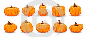 Set of orange pumpkins on white background. Happy Halloween. Thanksgiving day with orange pumpkin