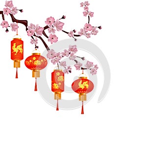 A set of orange-red Chinese lanterns on a blossoming branch of cherry. Round and cylindrical form with drawings rooster