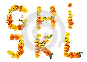 set of orange yellow flower, created letters and alphabet for greeting card, present, birthday gift and mail, G H I J K L