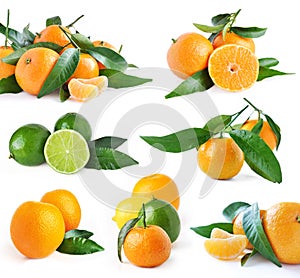 Set of oranges and lime