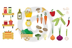 Flat vector set of organic food icons. Fresh vegetables and fruits. Pickled cucumbers and tomatoes. Basket with apples