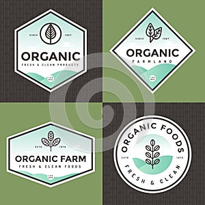 Set of organic food logo, badges, banners, emblem with pattern. Package design. Clean food. Natural food, healthy food.