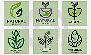 Set of organic and natural modern logo in desig